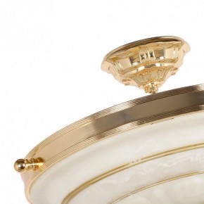 Светильник на штанге Arti Lampadari Pavia Pavia E 1.13.P40 G в Игриме - igrim.mebel24.online | фото 4