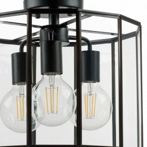 Светильник на штанге Lightstar Genni 798237 в Игриме - igrim.mebel24.online | фото 4