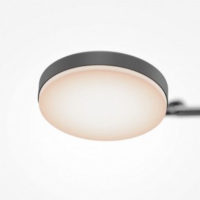 Светильник на штанге Maytoni Fad MOD070CL-L15B3K1 в Игриме - igrim.mebel24.online | фото 7