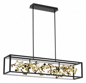 Светильник на штанге Odeon Light Bild 5065/65L в Игриме - igrim.mebel24.online | фото