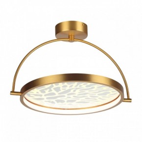 Светильник на штанге Odeon Light Solaris 6627/36CL в Игриме - igrim.mebel24.online | фото 3