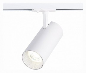 Светильник на штанге ST-Luce Mono ST350.536.30.36 в Игриме - igrim.mebel24.online | фото 2