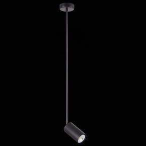 Светильник на штанге ST-Luce Sormano SL1206.403.01 в Игриме - igrim.mebel24.online | фото 4