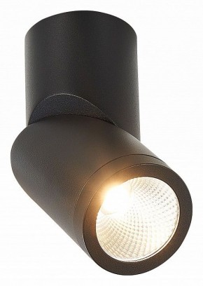 Светильник на штанге ST-Luce ST650 ST650.442.10 в Игриме - igrim.mebel24.online | фото 2