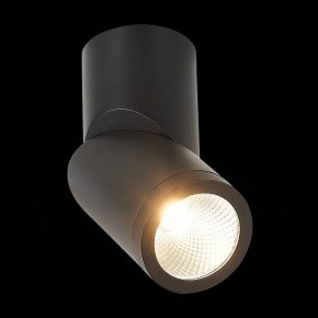 Светильник на штанге ST-Luce ST650 ST650.442.10 в Игриме - igrim.mebel24.online | фото 5