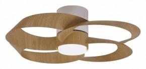 Светильник с вентилятором Mantra Rose 8707 в Игриме - igrim.mebel24.online | фото