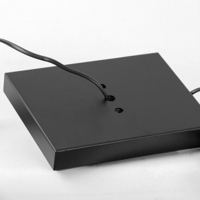 Торшер Lussole Prairie LSP-0913 в Игриме - igrim.mebel24.online | фото 4