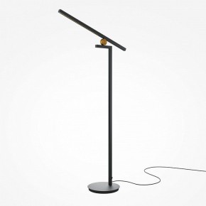 Торшер Maytoni Emphaty MOD363FL-L14B3K в Игриме - igrim.mebel24.online | фото 2
