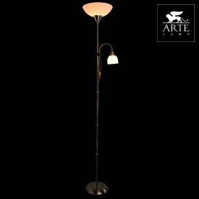 Торшер с подсветкой Arte Lamp Duetto A9569PN-2AB в Игриме - igrim.mebel24.online | фото 3