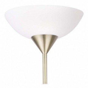 Торшер с подсветкой Arte Lamp Duetto A9569PN-2AB в Игриме - igrim.mebel24.online | фото 5