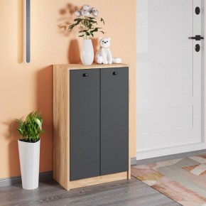 Тумба для обуви Рино в Игриме - igrim.mebel24.online | фото 3