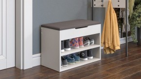 Тумба для обуви Тип 11 в Игриме - igrim.mebel24.online | фото 6