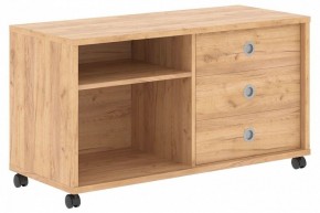 Тумба комбинированная Born B 202A в Игриме - igrim.mebel24.online | фото