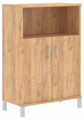Тумба комбинированная Born B 420.2 в Игриме - igrim.mebel24.online | фото