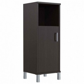 Тумба комбинированная Skyland Born B 421.2 в Игриме - igrim.mebel24.online | фото