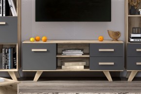 Тумба под ТВ Вега Скандинавия в Игриме - igrim.mebel24.online | фото 7
