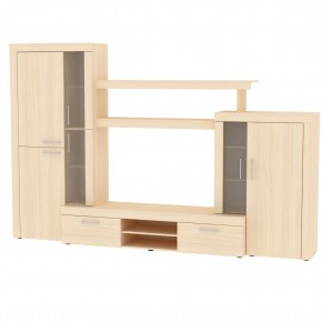 ТВ стенка TV51 в Игриме - igrim.mebel24.online | фото 10