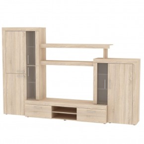 ТВ стенка TV51 (ДСС) в Игриме - igrim.mebel24.online | фото