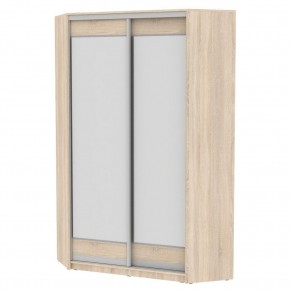 Угловой шкаф-купе YA-230х1250-5 (D2D2) в Игриме - igrim.mebel24.online | фото