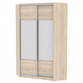Угловой шкаф-купе YA-230х1250-5 (D3D3) в Игриме - igrim.mebel24.online | фото