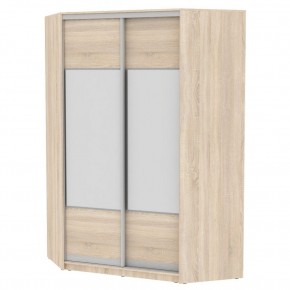 Угловой шкаф-купе YA-230х1400-568-4 (D3D3) в Игриме - igrim.mebel24.online | фото
