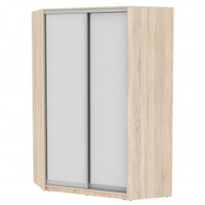 Угловой шкаф-купе YA-230х1400-568-4 (D5D5) в Игриме - igrim.mebel24.online | фото
