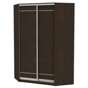 Угловой шкаф-купе YA-230х1400-718-2 (D1D1) в Игриме - igrim.mebel24.online | фото
