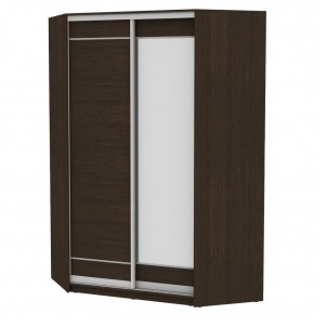 Угловой шкаф-купе YA-230х1400-718-2 (D1D2) в Игриме - igrim.mebel24.online | фото