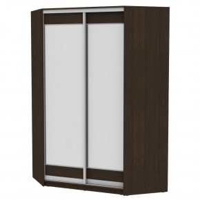 Угловой шкаф-купе YA-230х1400-718-2 (D2D2) в Игриме - igrim.mebel24.online | фото