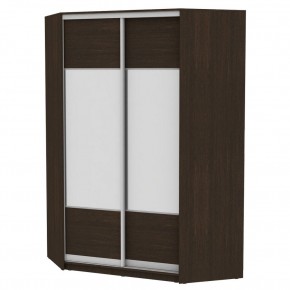 Угловой шкаф-купе YA-230х1400-718-2 (D3D3) в Игриме - igrim.mebel24.online | фото