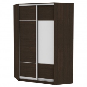 Угловой шкаф-купе YA-230х1400-718-2 (D4D3) в Игриме - igrim.mebel24.online | фото