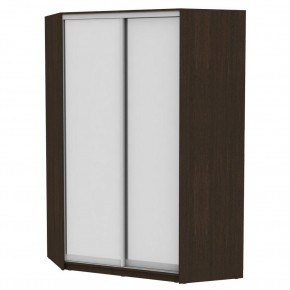 Угловой шкаф-купе YA-230х1400-718-2 (D5D5) в Игриме - igrim.mebel24.online | фото