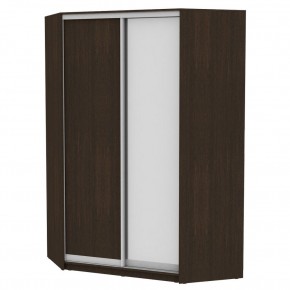 Угловой шкаф-купе YA-230х1400-718-2 (D6D5) в Игриме - igrim.mebel24.online | фото