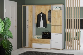 Вешалка НМ 014.16-01 "Санти" (Крафт Золотой) в Игриме - igrim.mebel24.online | фото 2