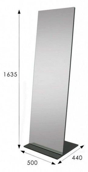 Зеркало напольное Стелла 2 в Игриме - igrim.mebel24.online | фото 9
